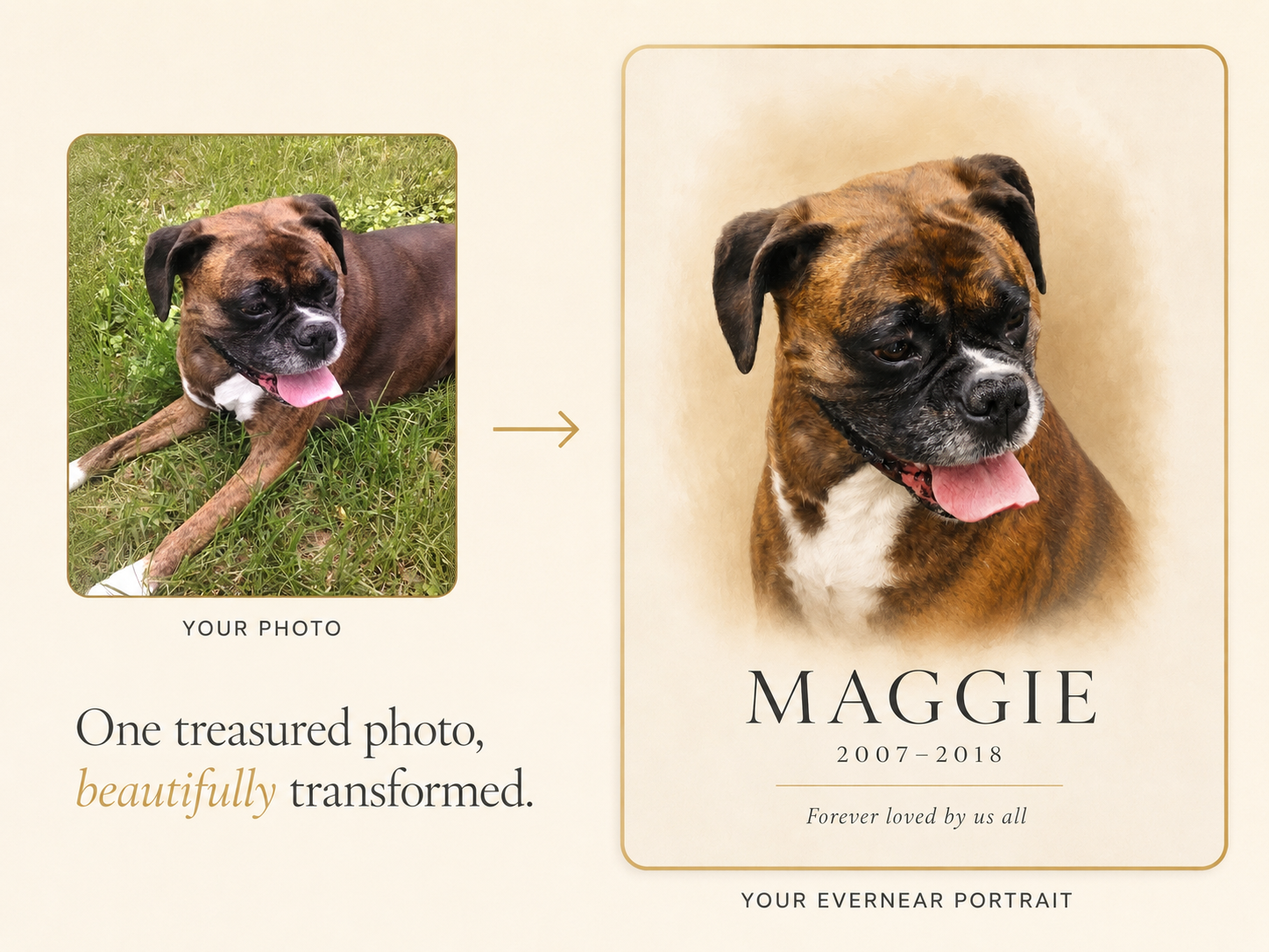 Custom Pet Memorial Portrait